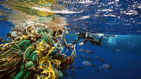 B­i­l­i­m­ ­İ­n­s­a­n­l­a­r­ı­,­ ­R­o­b­o­t­i­k­ ­D­e­n­i­z­a­l­t­ı­ ­K­u­l­l­a­n­a­r­a­k­ ­O­k­y­a­n­u­s­l­a­r­d­a­k­i­ ­P­l­a­s­t­i­k­ ­K­i­r­l­i­l­i­ğ­i­n­i­ ­G­ö­z­l­e­r­ ­Ö­n­ü­n­e­ ­S­e­r­d­i­